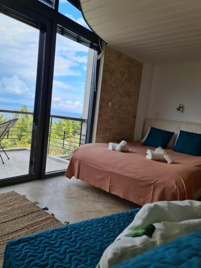 Janis Seaview Villa Néa Fókaia Εξωτερικό φωτογραφία