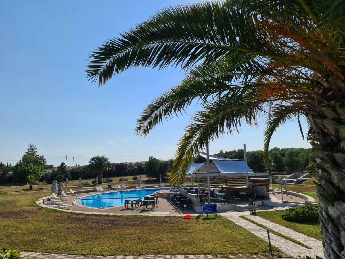 Janis Seaview Villa Néa Fókaia Εξωτερικό φωτογραφία